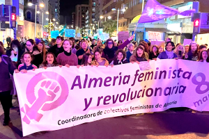 Un momento de la manifestación vivida en el 2023 y que este año vuelve a citar a todos los almeriense en las calles de la capital.