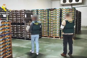 La operación policial Fruits y Frenex se ha saldado con la detención de cinco personas.