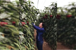 Lucía Pérez, agricultora almeriense.