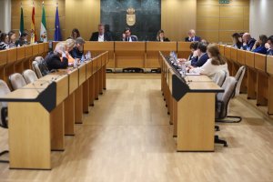 Desarrollo de la sesión plenaria del mes de marzo en el Ayuntamiento de El Ejido.