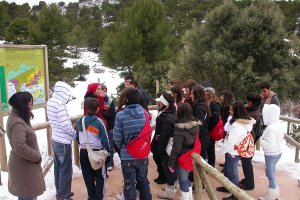 Un grupo de jóvenes visitan el jardín botánico de María.
