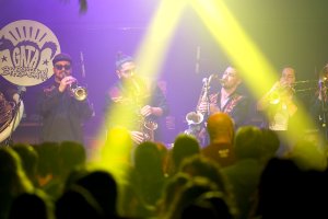 Gata Brass Band, el viernes en Berlín Social Club.