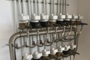 Batchline avanzará este año en la transformación digital.