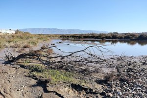 Los últimos coletazos de la borrasca aún se notan en el delta del Río Andarax.