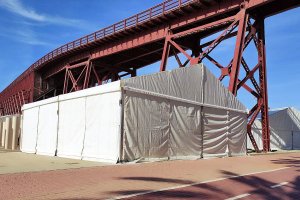 La carpa bajo el Cable Inglés