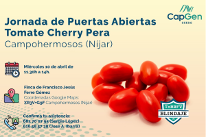 Jornada puertas abiertas Tomate Cherry Pera