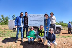 Proyecto para evaluar la sostenibillidad del almendro