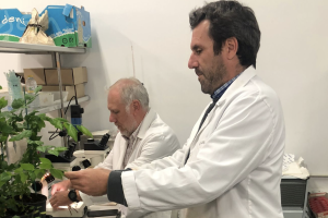 Antonio Santos, investigador de la Universidad de Huelva y autor del estudio