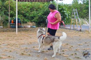 Este proyecto engloba la colaboración entre Areta y Ábregos para apoyar a mujeres y menores víctimas de violencia de género.