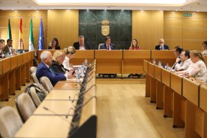 Desarrollo de la sesión plenaria en el Ayuntamiento de El Ejido.