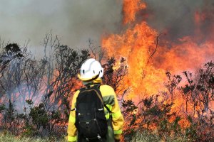 Se va acercando el verano y por tanto aumenta el riesgo de incendios forestales en la provincia de Almería.