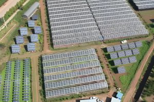 Una instalación agrovoltaica desde el aire.