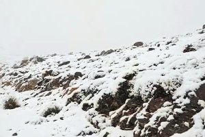 Imagen tomada por el SAIH Hidrosur este lunes en la sierra de Gádor.