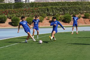 Melero golpea la pelota en el campo Anexo.