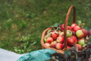 Alimentos saciantes para una dieta saludable.