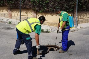 Técnicos realizan las tareas de desinsectación.
