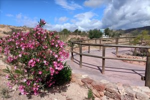 Una zona espectacular para disfrutar del escape room en familia gracias a la Asociación de Vecinos La Palmera.