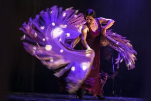 Imagen de archivo de la despedida de Suma Flamenca en 2023.