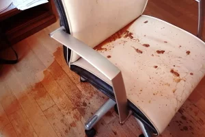 Estado en el que quedó la silla y el suelo del despacho del teniente de alcalde.