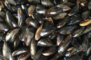 Mejillones al vapor para un viernes saludable.