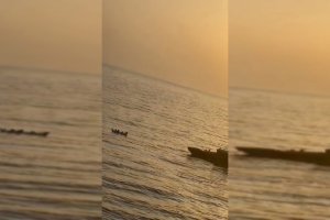 Imagen del rescate de la Salvamar Spica de Salvamento Marítimo.