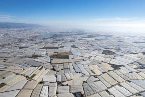 Superficie invernaderos Almería