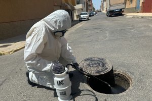 Las tareas que se están llevando a cabo en el término municipal de Vícar.