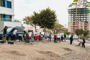 Imagen de la plantación del Día del Árbol del pasado mes de marzo por el Ayuntamiento, la asociación Serbal y el colectivo vecinal de La Palmera.