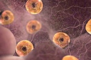 Charla el próximo 20 de junio.