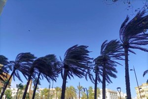 La AEMET declara la alerta por viento en Almería.