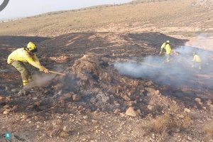 Efectivos del Infoca trabajan en el incendio de Níjar.