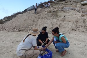 La edil e investigadores supervisando restos cerámicos encontrados.