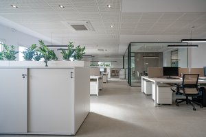 Compromiso con la calidad y el diseño.