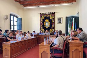 Pleno en el Ayuntamiento de Níjar.
