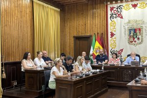 Imagen del Pleno en el que se aprobó la ordenanza.