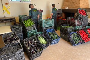 Archivo de los productos incautados por la Guardia Civil en Huércal-Overa.