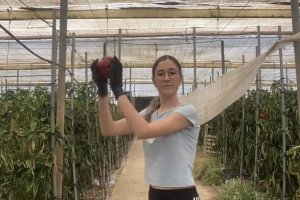 Lucía, la 'tiktoker' que cuenta su rutina en un invernadero./ @Agrofamily_moralesperz