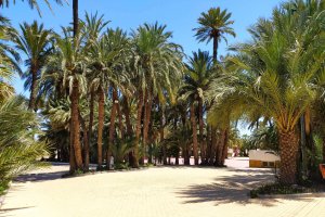 El recinto de El Palmeral de Vera. Foto: TUT4all.