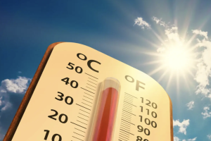 La RAIF ha publicado recientemente un informe detallando cómo las altas temperaturas influyen en las plagas de los cultivos 