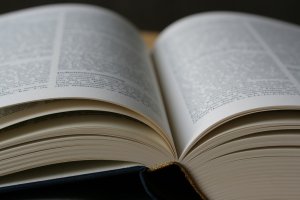 Un diccionario para entender mejor el kalé.