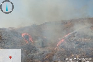 Imagen del incendio forestal en el paraje de La Loma en Antas.