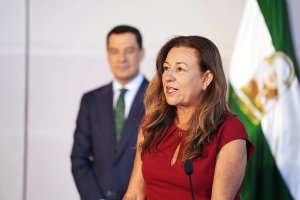 Carmen Castillo durante la toma de posesión en el Palacio de San Telmo.