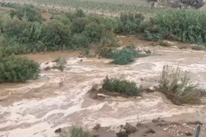 Las luvias han provocado la salida de algunas ramblas como la de Canalejas a su paso por el municipio de Pulpí.