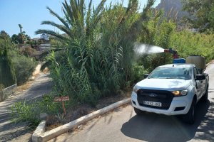 Avanzado plan de tratamientos de control de mosquitos y cucarachas.