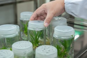 Este programa celebra su reedición con una jornada de presentación, el 23 de septiembre, en la sede del Ministerio de Agricultura