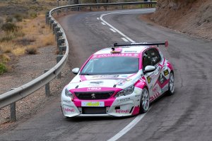 Sergio Capel y Alejandro Castillejo, ganadores del rallycrono