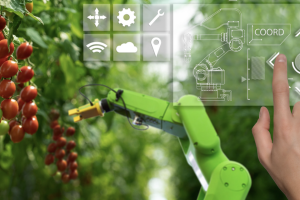 Lo que supone la digitalización de la agricultura