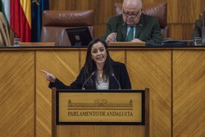 Rodríguez Tamayo, en una intervención en el Parlamento de Andalucía.