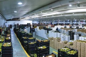 Fija como objetivos de la campaña 24/25 crecer en al menos otro 15% en volumen y poder así acercarse a los 400 millones de euros de facturación