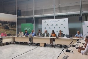 Aforo de producción de cítricos de la campaña 2024-2025 
